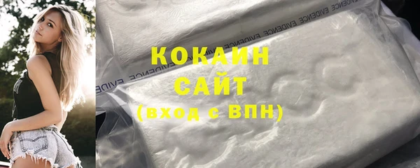 индика Беломорск
