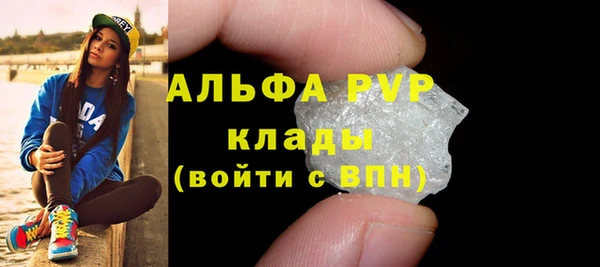 индика Беломорск