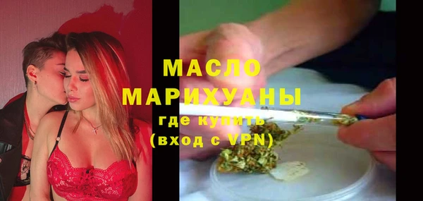 индика Беломорск