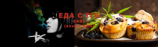 индика Беломорск