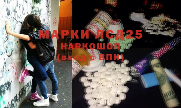 индика Беломорск