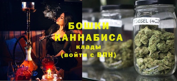 индика Беломорск