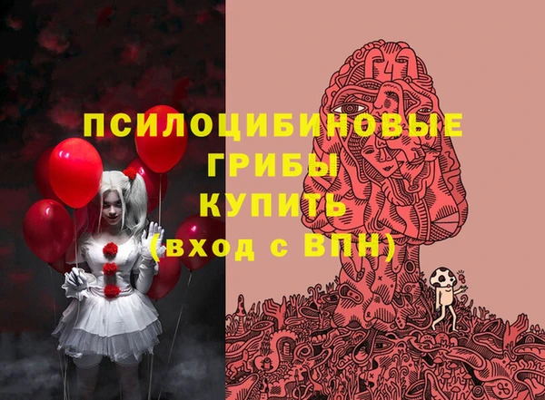 индика Беломорск