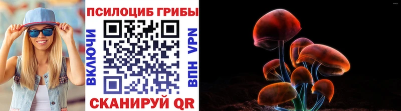 Галлюциногенные грибы мицелий Верхнеуральск